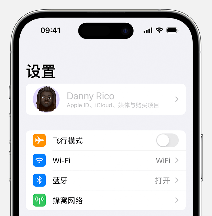 iPhone 设置中的 Apple ID 显示为灰色无法使用怎么办