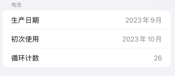 怎样检查iPhone 15系列的电池循环数