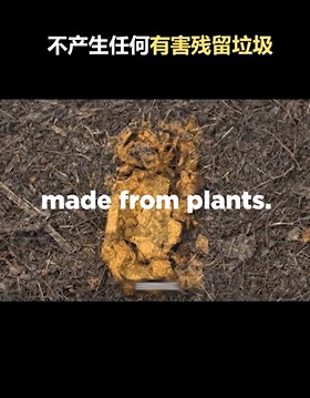 pela手机壳值得购买吗