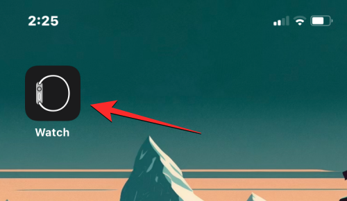 如何在 iPhone  和 Apple  Watch  上更改为军事时间