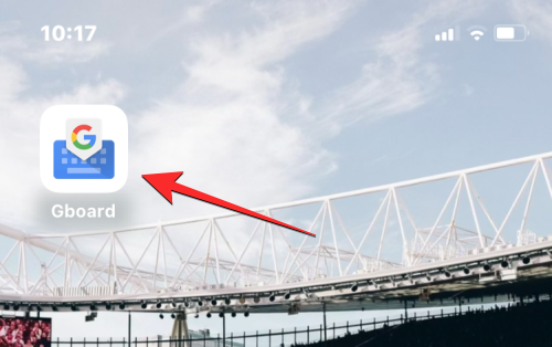 在 iPhone  上清除键盘历史记录的 5 种方法