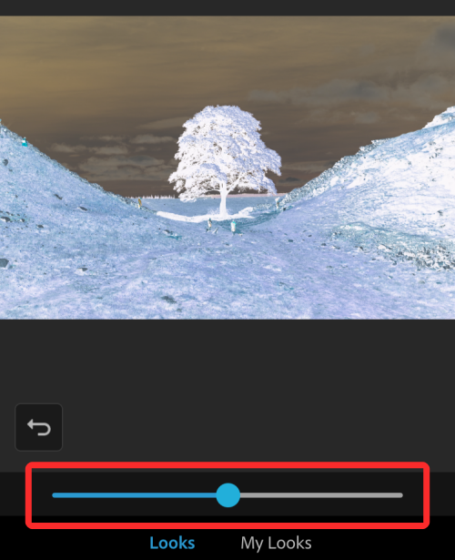如何在 iPhone  上对照片进行颜色反转