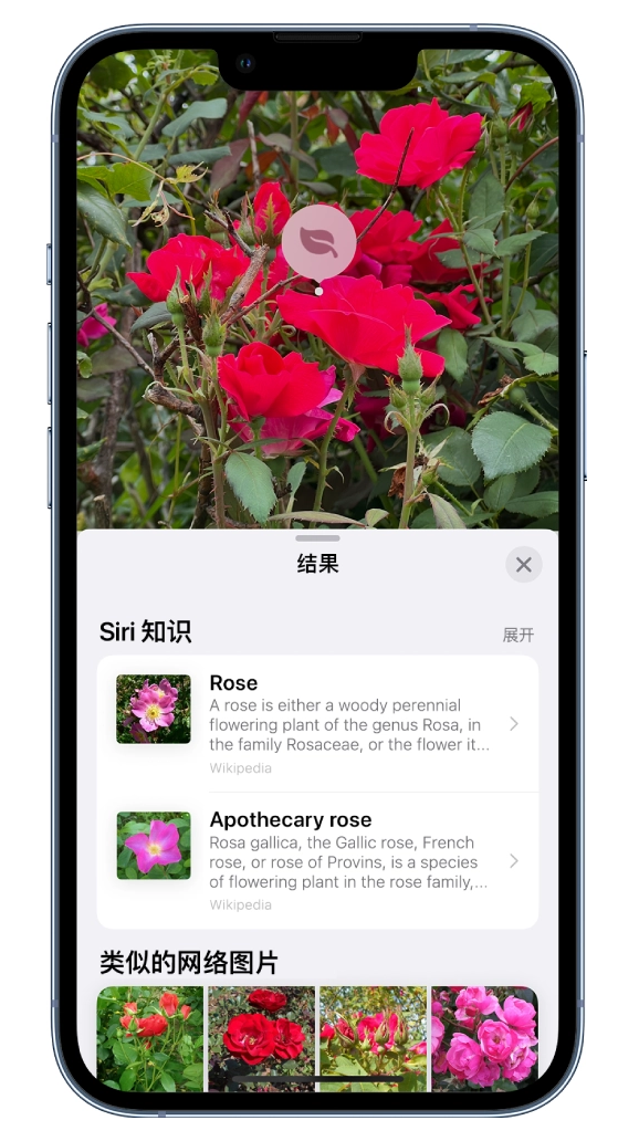 苹果 iOS  17“看图查询”功能使用方法
