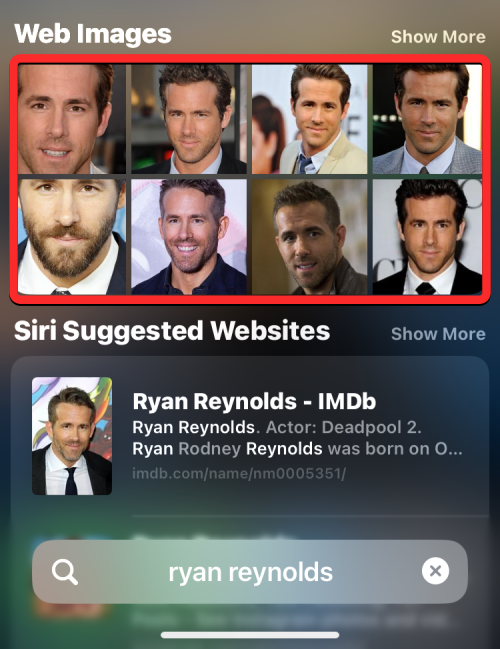 在 iPhone  上使用 Spotlight  搜索的 12 种方法