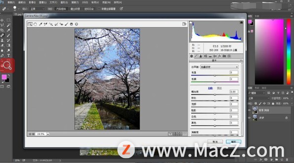 PS新手教程-如何使用PS制作日系唯美效果的旅游树木照片