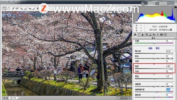 PS新手教程-如何使用PS制作日系唯美效果的旅游树木照片