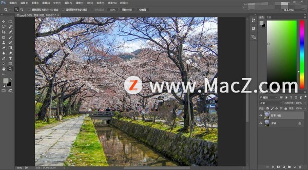 PS新手教程-如何使用PS制作日系唯美效果的旅游树木照片