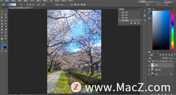 PS新手教程-如何使用PS制作日系唯美效果的旅游树木照片