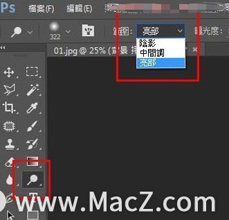 PS新手教程-如何使用PS制作日系唯美效果的旅游树木照片