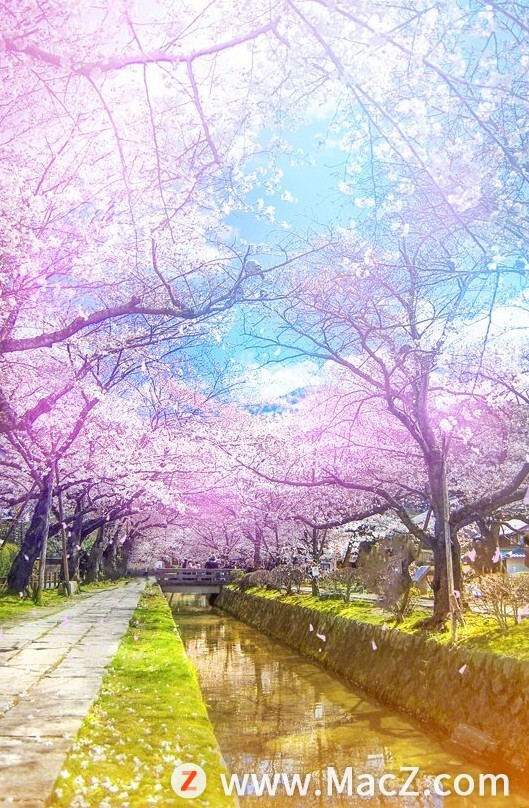 PS新手教程-如何使用PS制作日系唯美效果的旅游树木照片