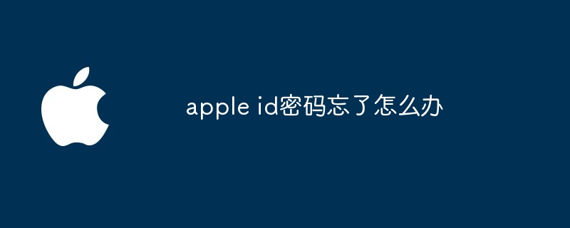 apple id密码忘了怎么办