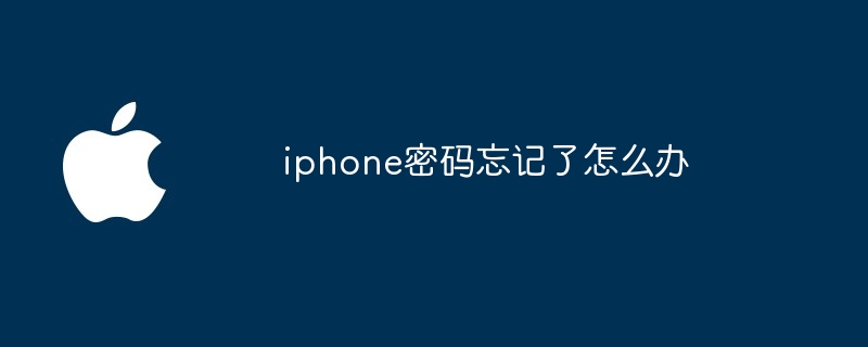 iphone密码忘记了怎么办