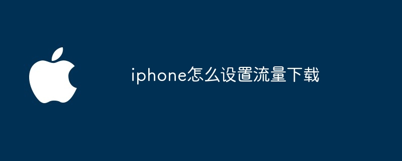 iphone怎么设置流量下载