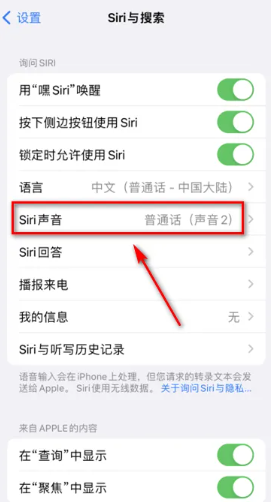 苹果手机怎么修改Siri声音_设置Siri声音步骤一览