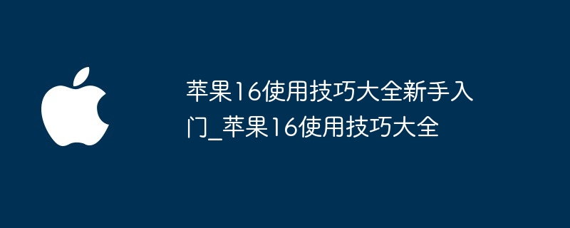 苹果16使用技巧大全新手入门 苹果16使用技巧大全