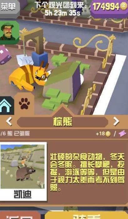 疯狂动物园所有熊怎么抓