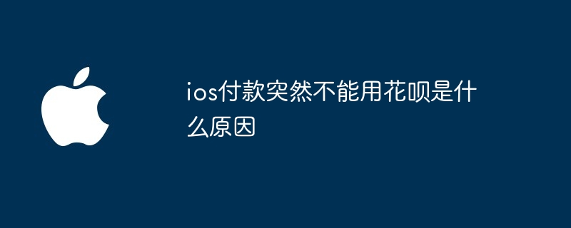 ios付款突然不能用花呗是什么原因