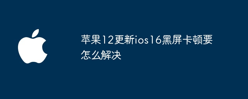 苹果12更新ios16黑屏卡顿要怎么解决