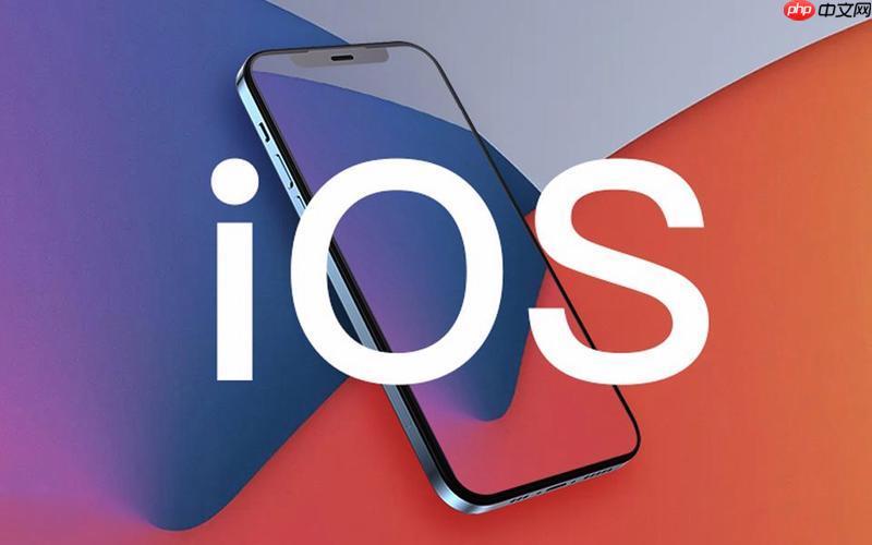 苹果手机字体大小调整 自定义显示文本尺寸教程