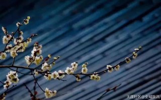 抓住2020的尾巴，带上这份天台游攻略，看完就出发！(转载)