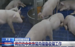 国家出手了！发改委启动中央冻猪肉收储，猪价4月迎拐点？发布一级预警
