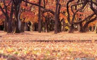 风光摄影4个技巧，及用手机把图修更通透，这篇摄影教程全教你