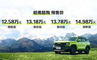 移动的“音响”！哈弗酷狗开卖：全车18个喇叭