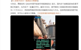 游客钟爱三亚！三亚春节20万一晚酒店已售罄