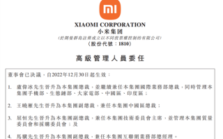 王翔退休 小米宣布卢伟冰晋升为集团总裁