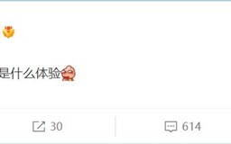 从1.5直接跃升到1英寸超大底 OPPO新机影像脱胎换骨