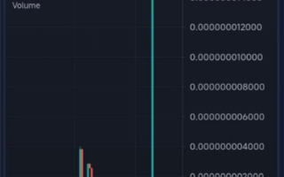 发行1万亿枚的“二舅币”崩盘！暴跌99.7％、近880万元被卷走