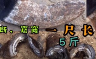 土味解压视频，靠什么迷住了当代年轻人