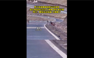 甘肃国道上司机偶遇狼群运送食物 网友直呼：团队协作强到让人惊叹