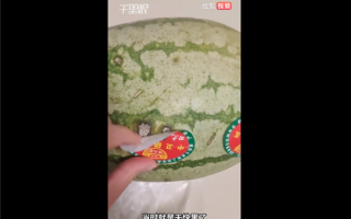 女子买西瓜撕开标签下面全烂洞 网友：商标变“伤标”