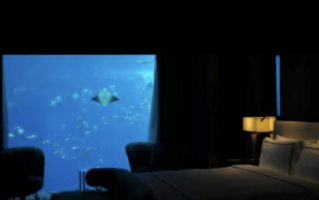 十万元一晚的豪华套房满员！这个地方赚翻了 人山人海同比增长18.2%