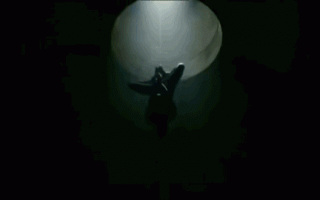 疯狂科学家用针筒、胶水“复活”死亡蜘蛛：化身僵尸机器人