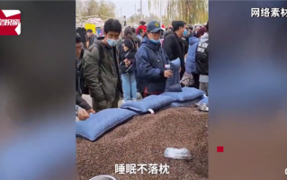 女子耳朵痛痒难耐拆开枕头全是虫 画面让网友直呼细思恐极：专家科普