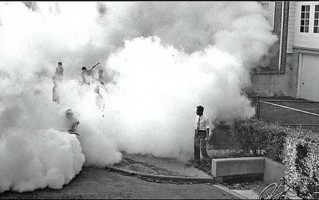 从获得诺贝尔奖 到被多国禁用：这种农药只用了25年