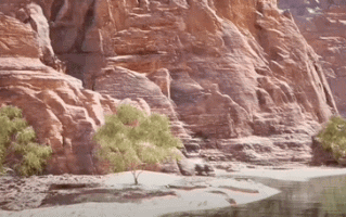 540 万飞行摩托开卖，竟然还是增程式