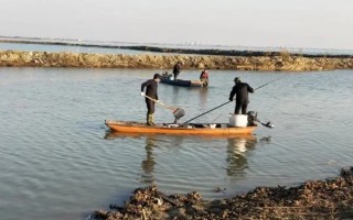 女子放生2.5万斤鲇鱼被起诉：偏肉食动物 入侵能力极强