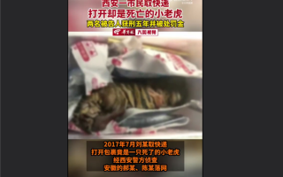 女子网购生鲜取快递收到死亡小老虎 网友直呼可怕：官方回应