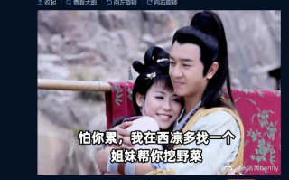 “挖野菜”一梗火了！“王宝钏”商标已被抢注 陈浩民幽默回应