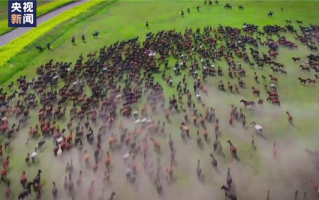 新疆出现万马奔腾场景 现场视频引围观：场面壮观、震撼