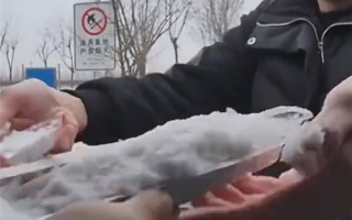 小朋友把山东的雪带回福建：半路化了 崩溃大哭