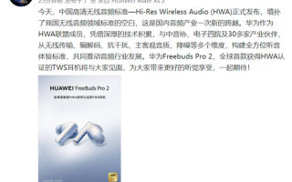 无线耳机有了中国标准 华为有多少贡献？余承东表态
