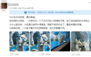 一动物园北极狐指甲过长行走困难 官方回应：会定期修剪