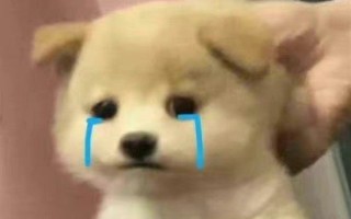 3斤小狗舔5斤大鱼被鱼尾抽翻 网友笑抽：这就是"舔狗"结局