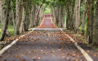 国庆将至！全国入秋进程图出炉：多地创下半年气温新低