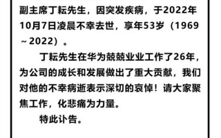 华为监事会副主席丁耘因突发疾病去世 享年53岁