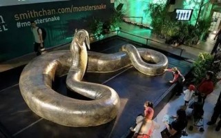 6000万年前的泰坦巨蟒：长度可达15米、重量超1吨
